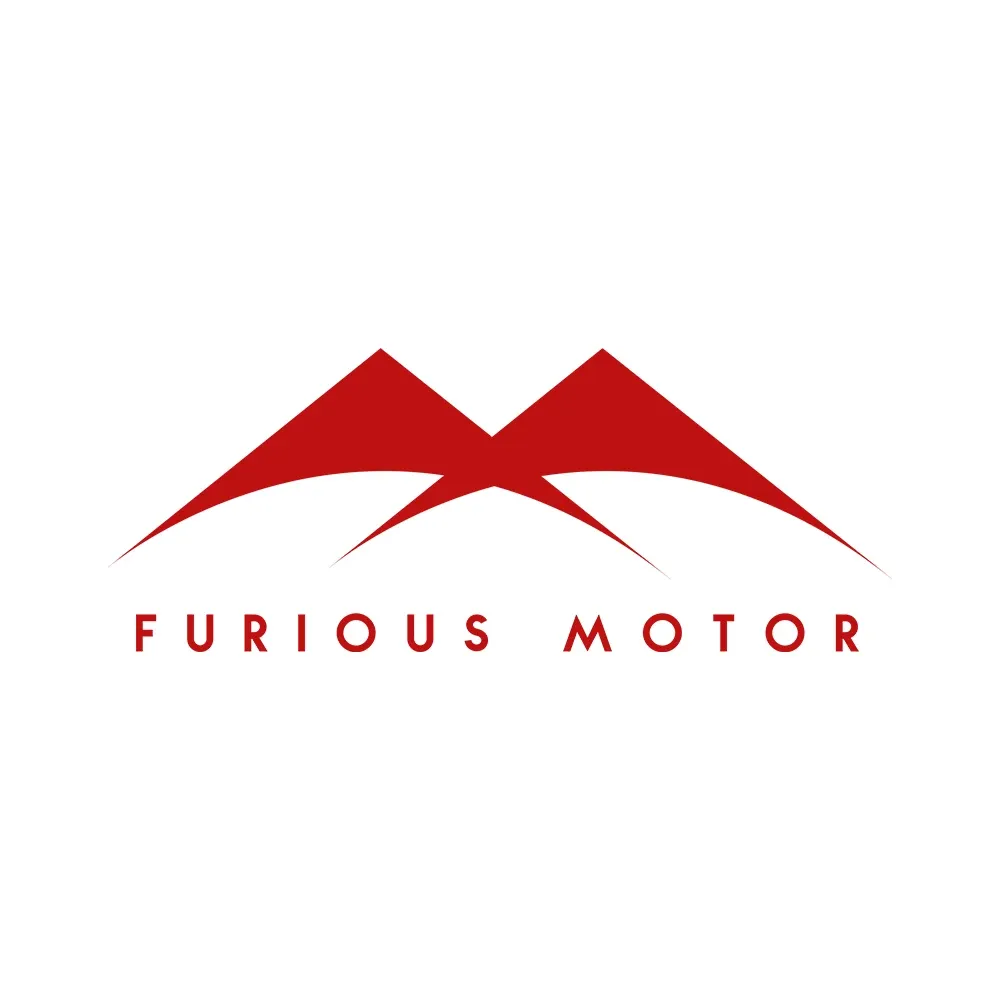 Furious Motor