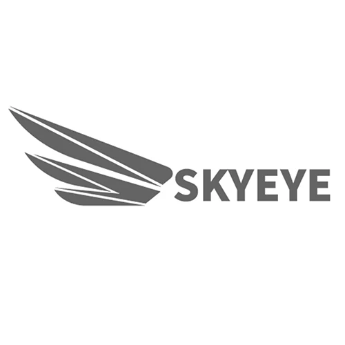 Skyeye