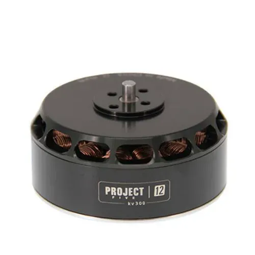 Engine Tarot 5012 300KV/TL50P12