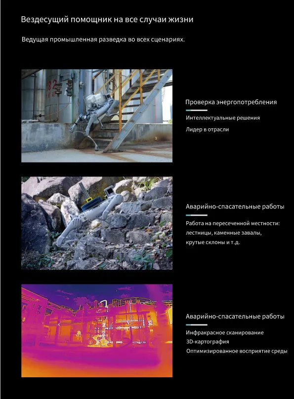 Robot-собака DB2