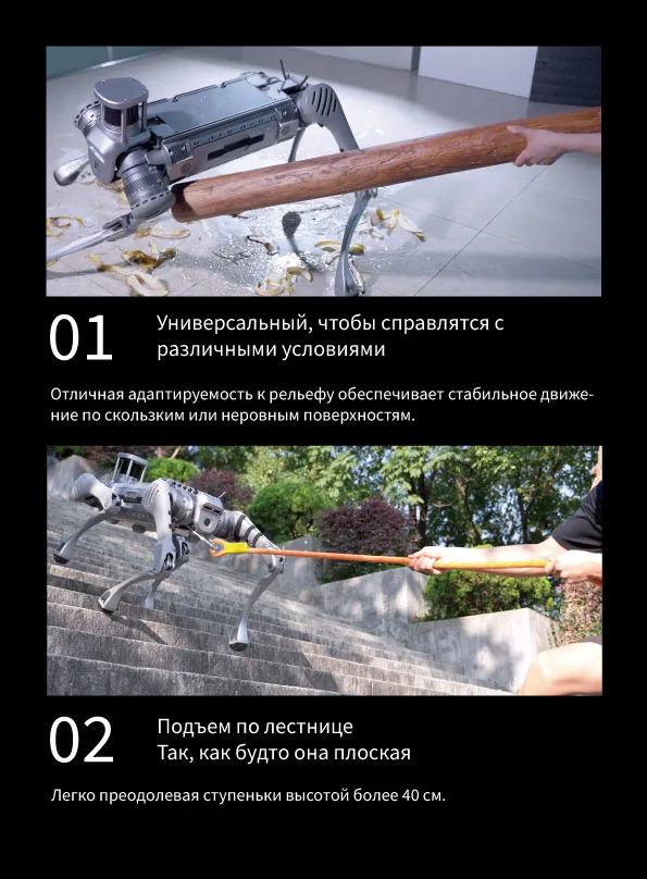 Robot-собака DB2