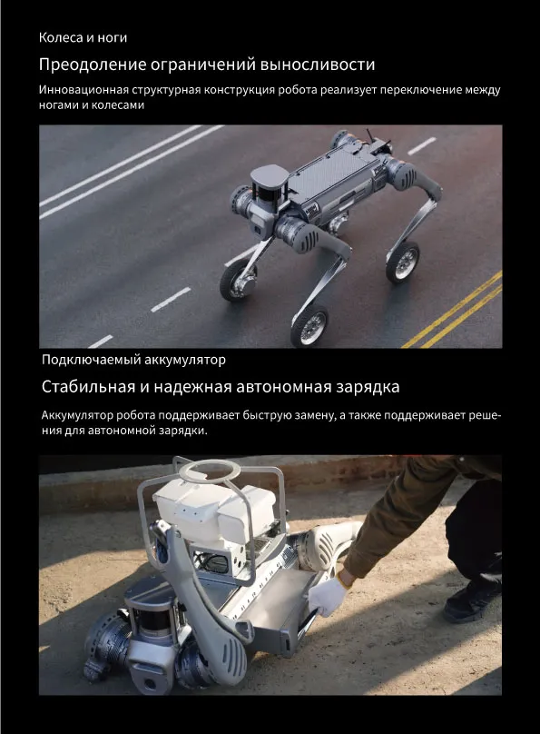 Robot-собака DB2