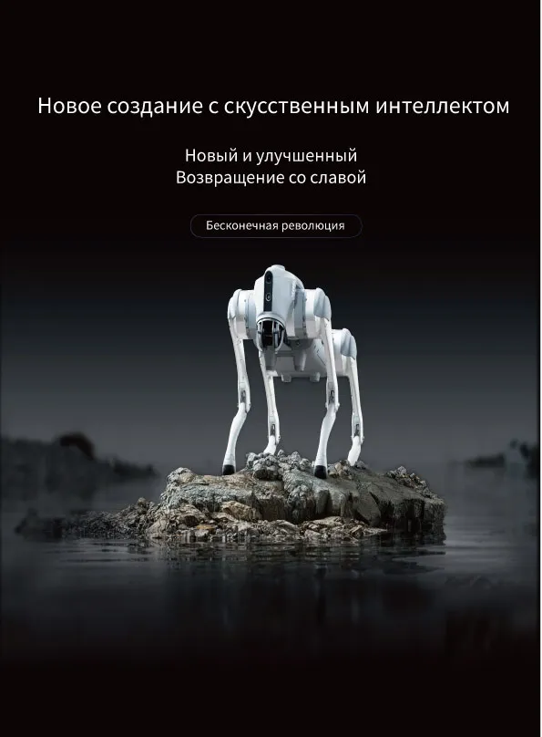 Robot-собака DG2