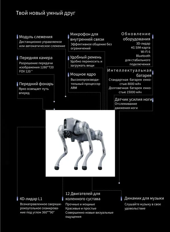 Robot-собака DG2