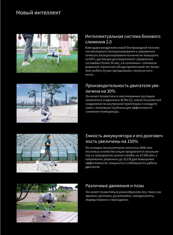 Robot-собака DG2