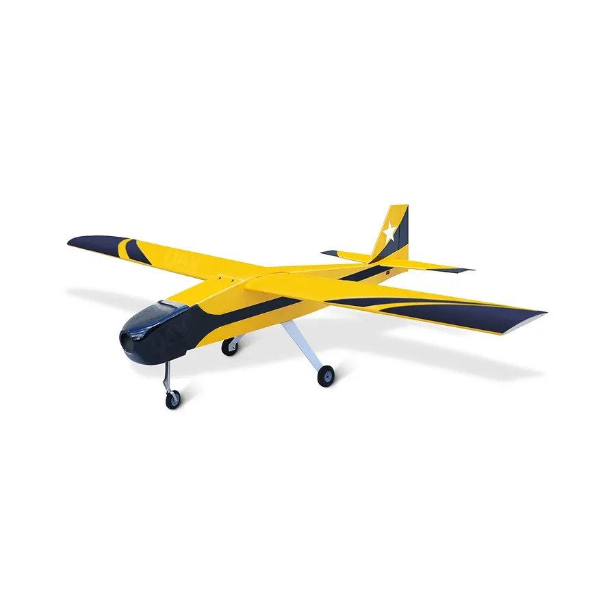 Aircraft type drone Skyeye 50cc