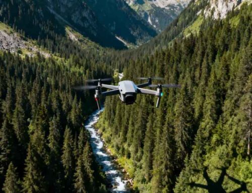 Fusce quis velit in erat molestie